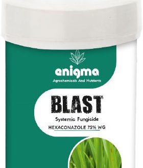 Blast – Hexaconazole